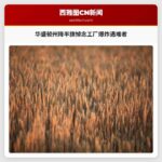 华盛顿州降半旗悼念工厂爆炸遇难者