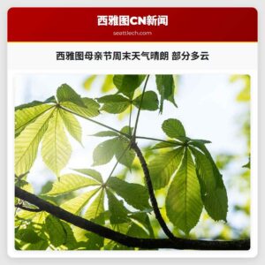 西雅图母亲节周末天气晴朗 部分多云
