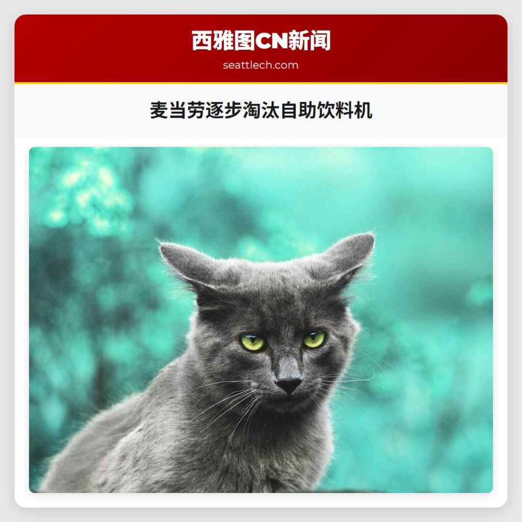 麦当劳逐步淘汰自助饮料机