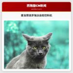麦当劳逐步淘汰自助饮料机