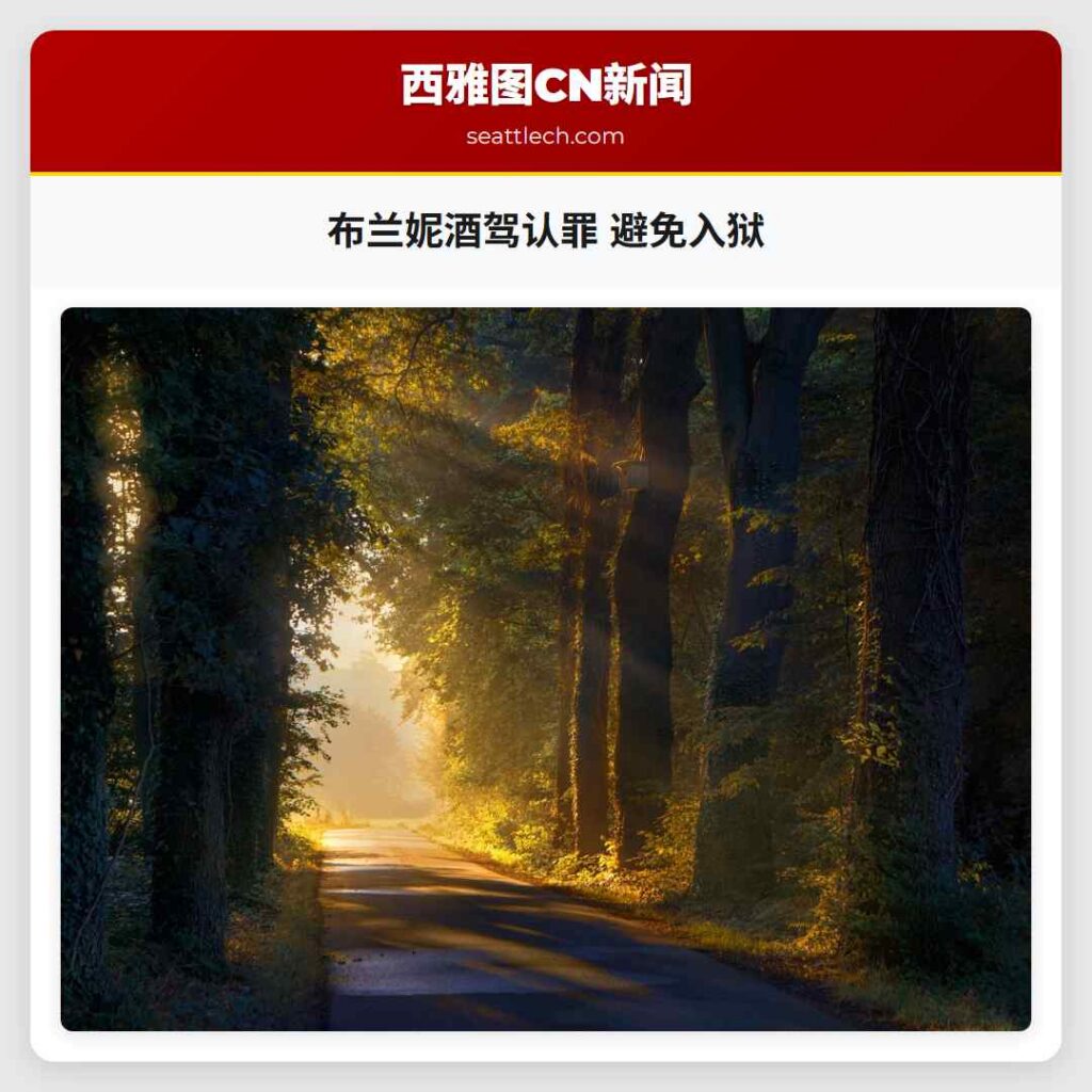 布兰妮酒驾认罪 避免入狱