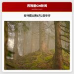 肯特德比赛5月2日举行