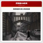 西西雅图车库大甩卖指南
