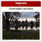 父亲肯特公园遭陌生人殴打 网友热议