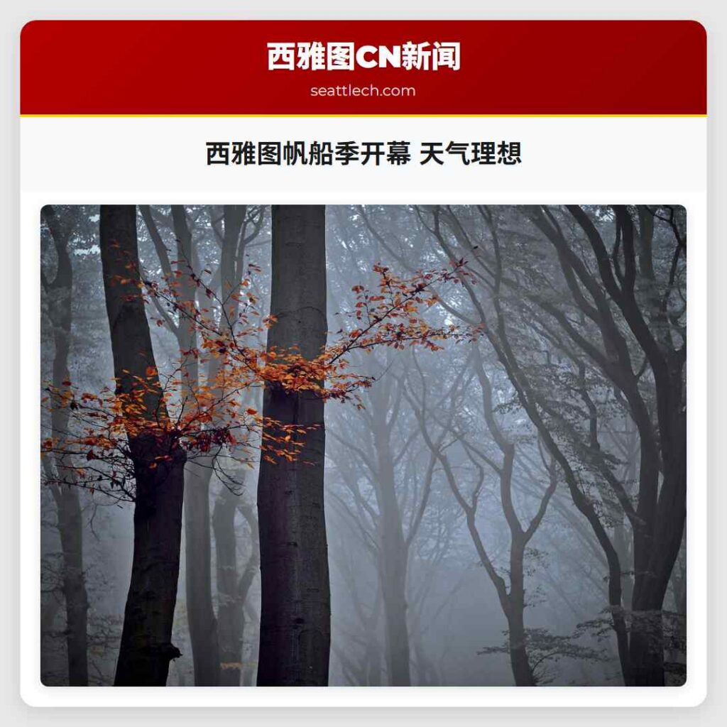 西雅图帆船季开幕 天气理想