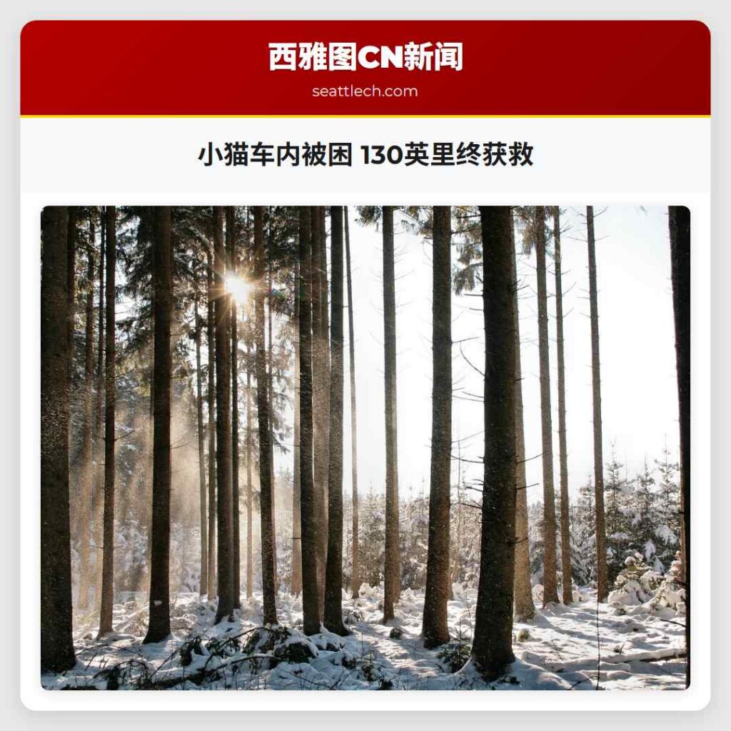 小猫车内被困 130英里终获救