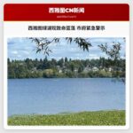 西雅图绿湖现致命蓝藻 市府紧急警示