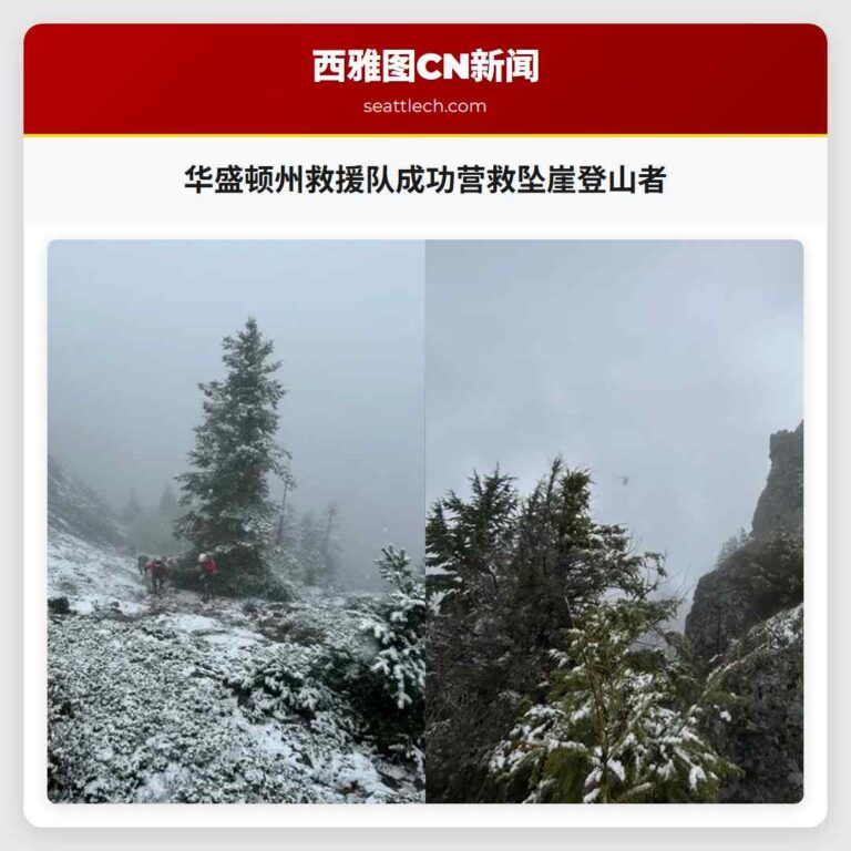 华盛顿州救援队成功营救坠崖登山者