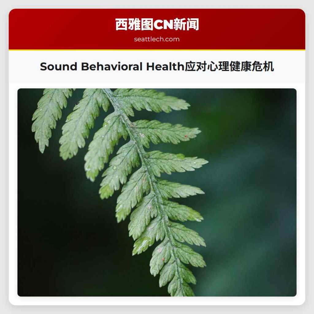 Sound Behavioral Health应对心理健康危机