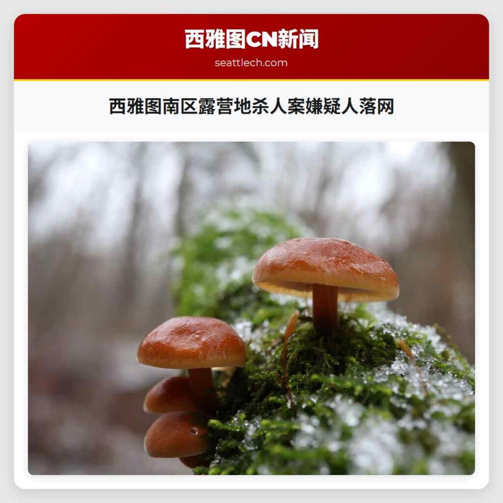 西雅图南区露营地杀人案嫌疑人落网