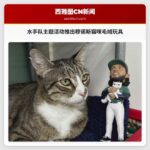 水手队主题活动推出穆诺斯猫咪毛绒玩具