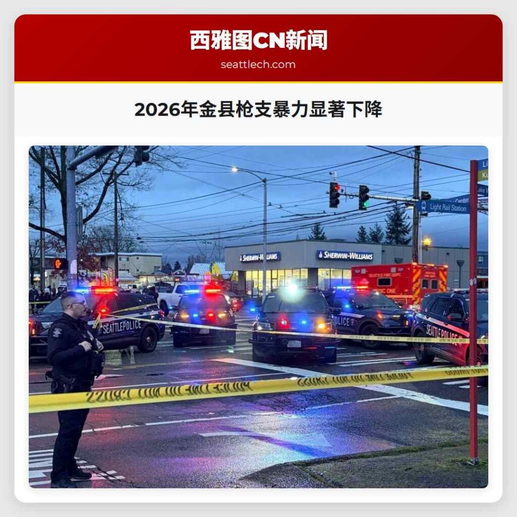 2026年金县枪支暴力显著下降