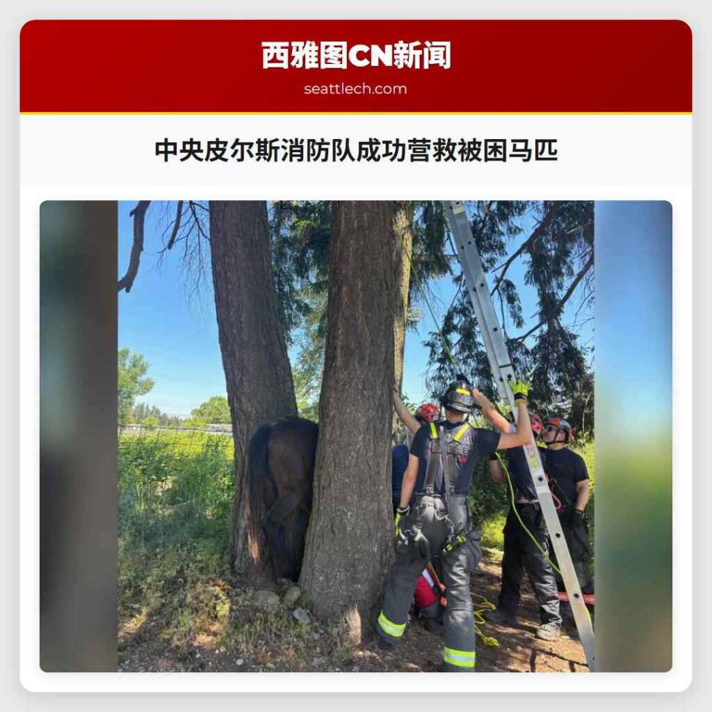 中央皮尔斯消防队成功营救被困马匹