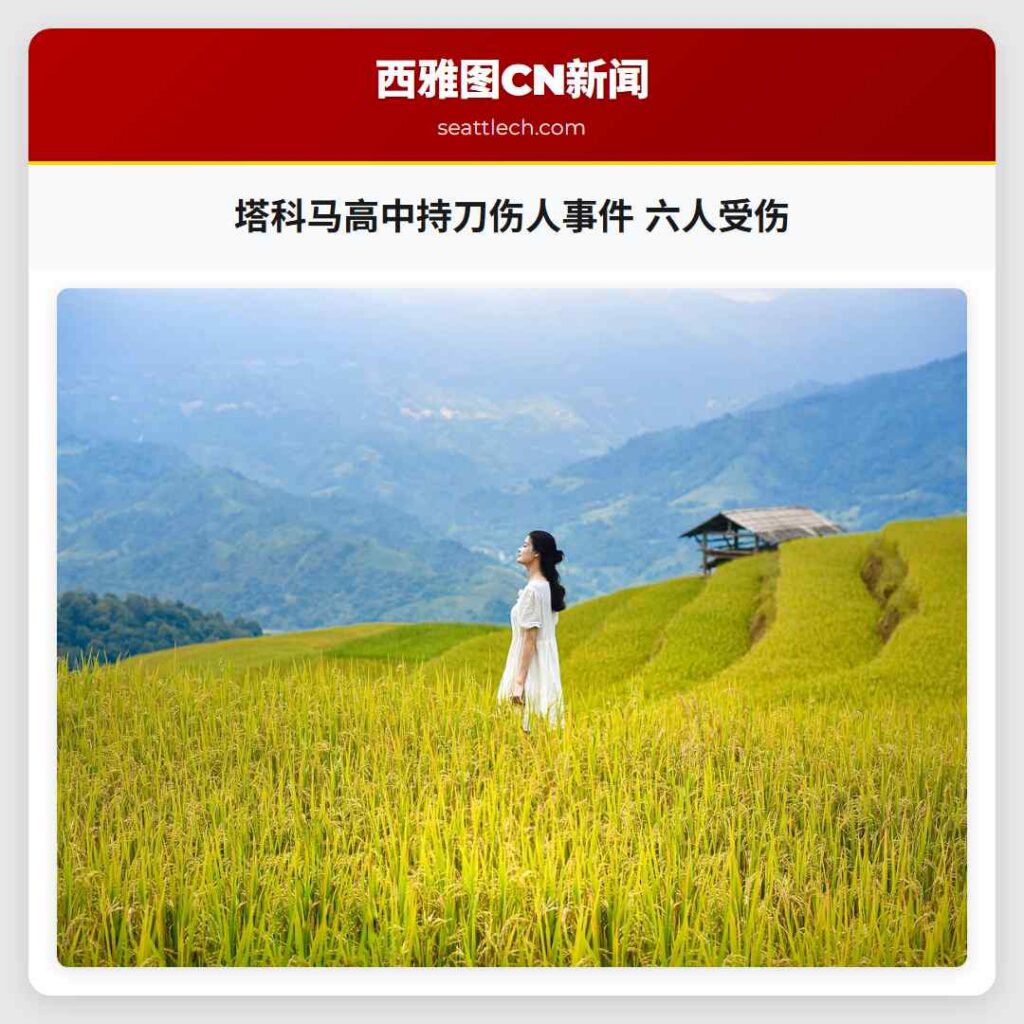 塔科马高中持刀伤人事件 六人受伤