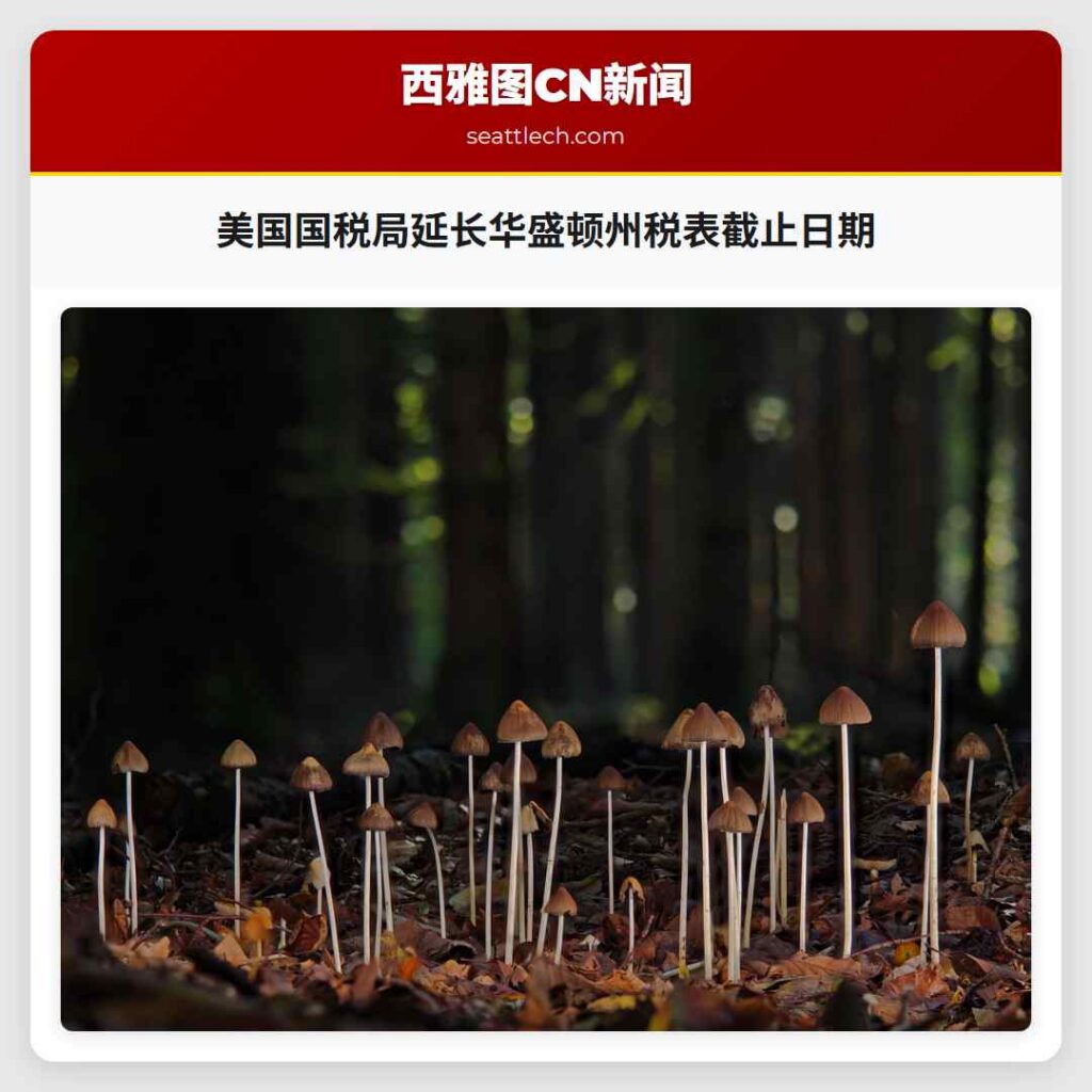 美国国税局延长华盛顿州税表截止日期