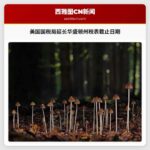 美国国税局延长华盛顿州税表截止日期