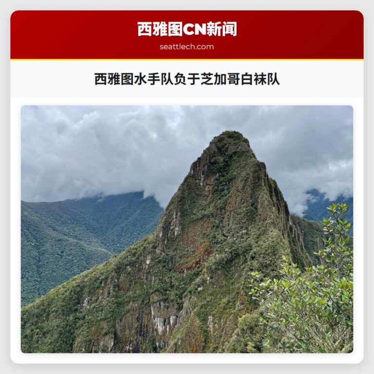 西雅图水手队负于芝加哥白袜队