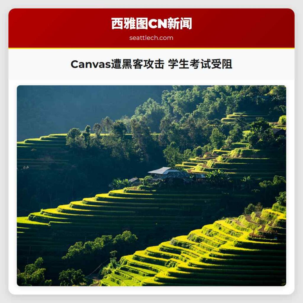 Canvas遭黑客攻击 学生考试受阻