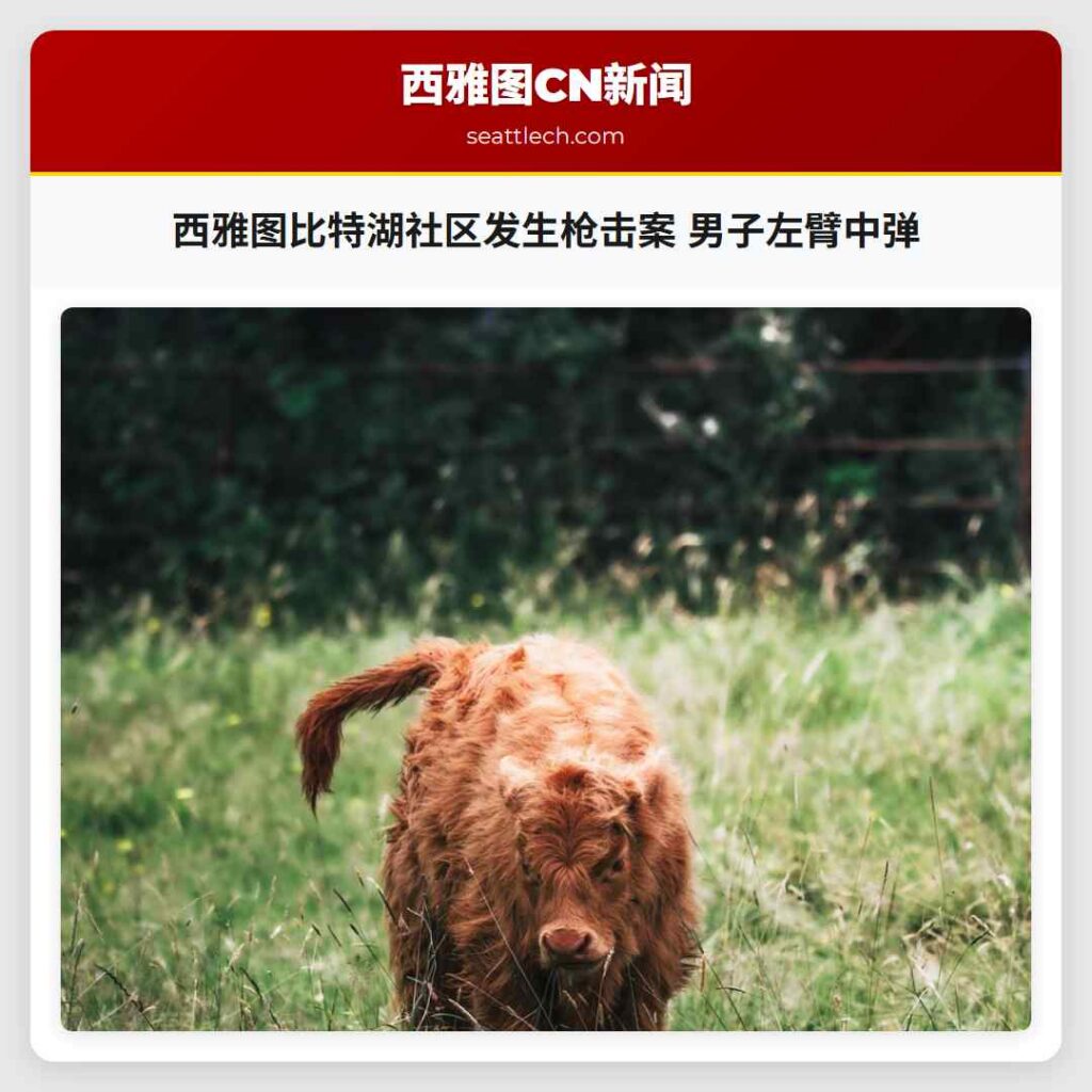 西雅图比特湖社区发生枪击案 男子左臂中弹
