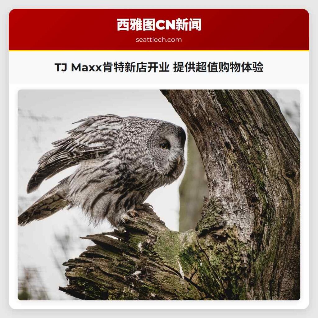 TJ Maxx肯特新店开业 提供超值购物体验