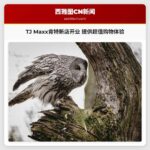 TJ Maxx肯特新店开业 提供超值购物体验