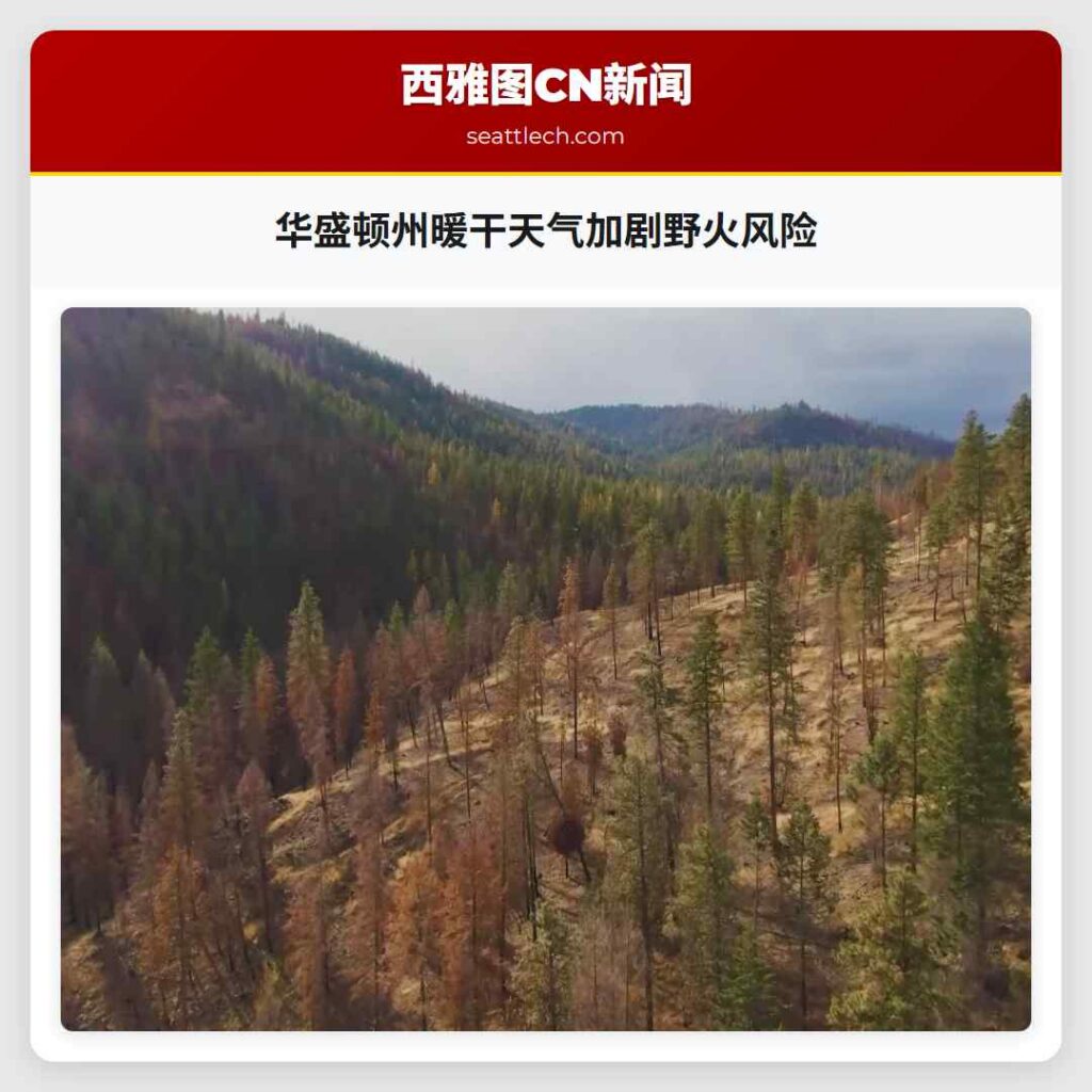 华盛顿州暖干天气加剧野火风险