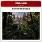 世卫称刚果埃博拉风险极高