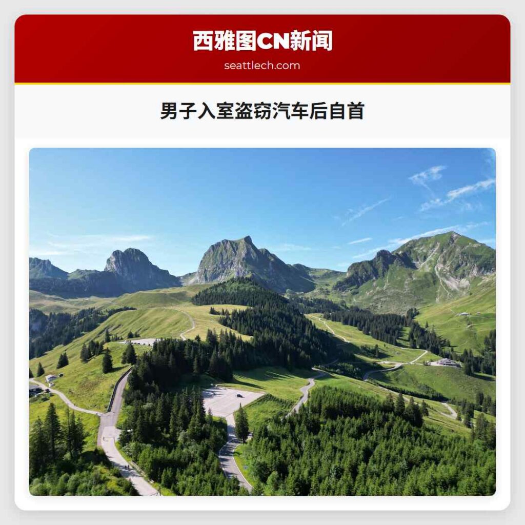 男子入室盗窃汽车后自首