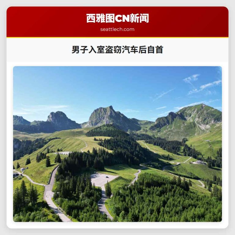 男子入室盗窃汽车后自首