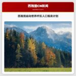 西雅图启动世界杯反人口贩卖计划