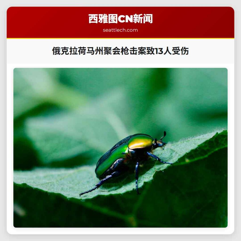 俄克拉荷马州聚会枪击案致13人受伤