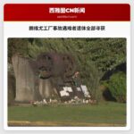 朗维尤工厂事故遇难者遗体全部寻获