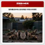 鬣狗重返林地公园动物园 时隔25年再现