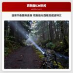温哥华悬案新进展 花粉指向西雅图或波特兰