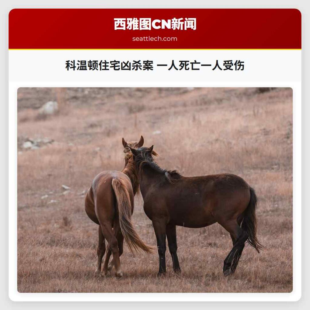 科温顿住宅凶杀案 一人死亡一人受伤