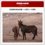 科温顿住宅凶杀案 一人死亡一人受伤