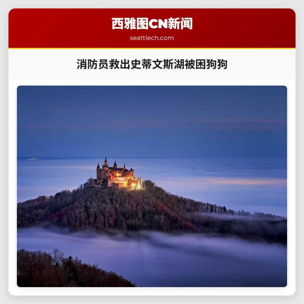 消防员救出史蒂文斯湖被困狗狗