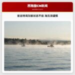 普吉特湾灰鲸状态不佳 海员须谨慎