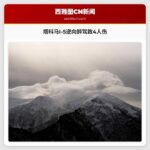 塔科马I-5逆向醉驾致4人伤