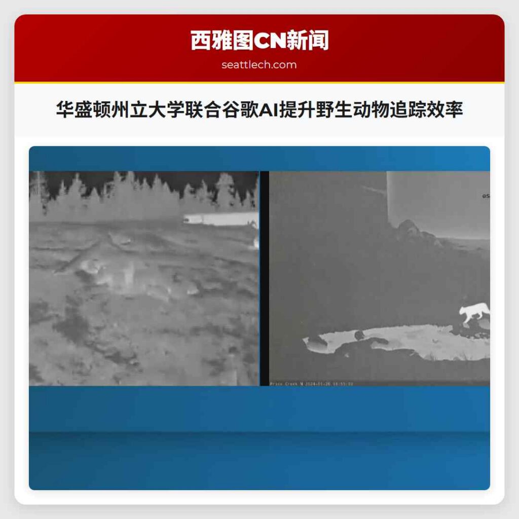 华盛顿州立大学联合谷歌AI提升野生动物追踪效率