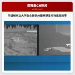华盛顿州立大学联合谷歌AI提升野生动物追踪效率