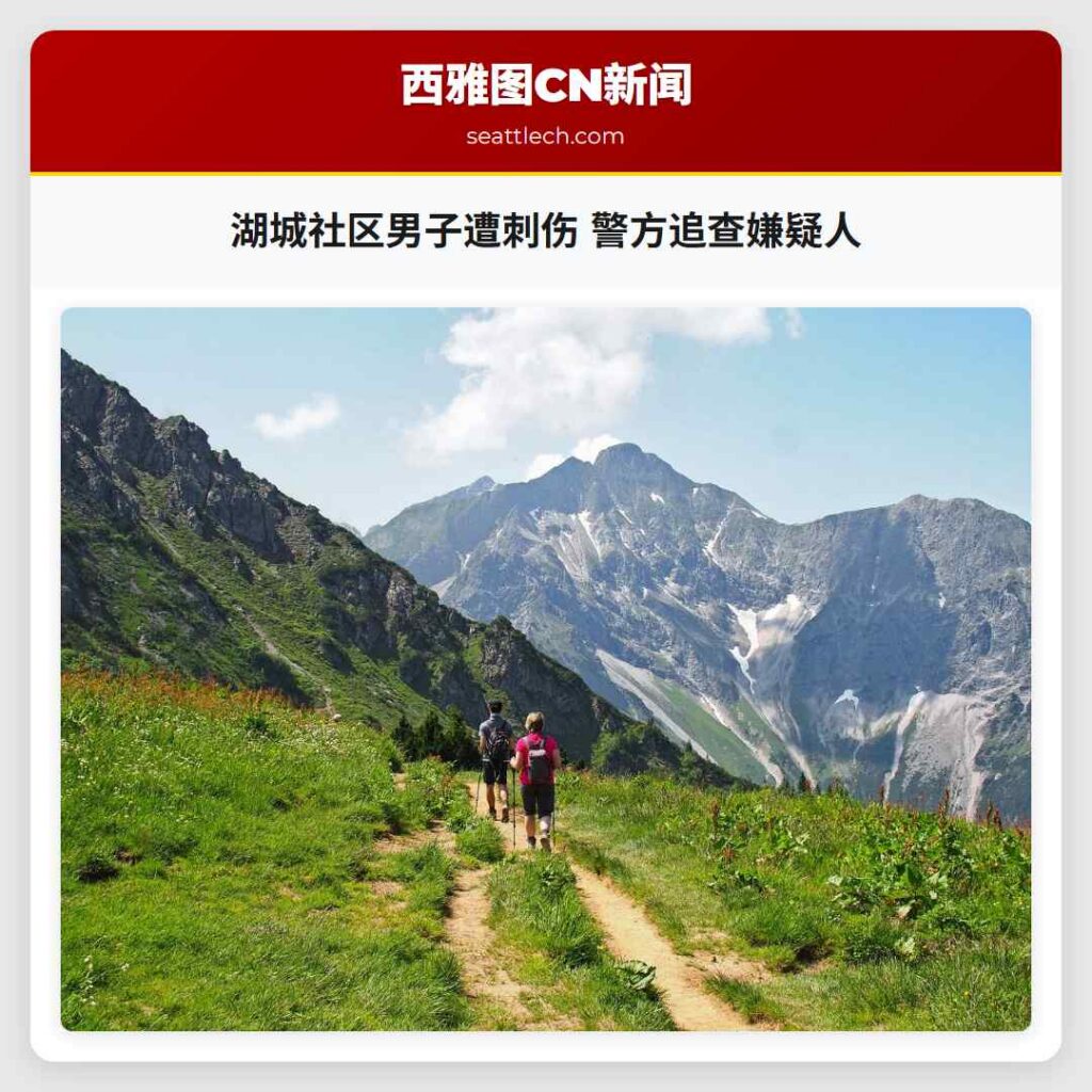 湖城社区男子遭刺伤 警方追查嫌疑人
