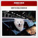 通用汽车召回4万套刹车液