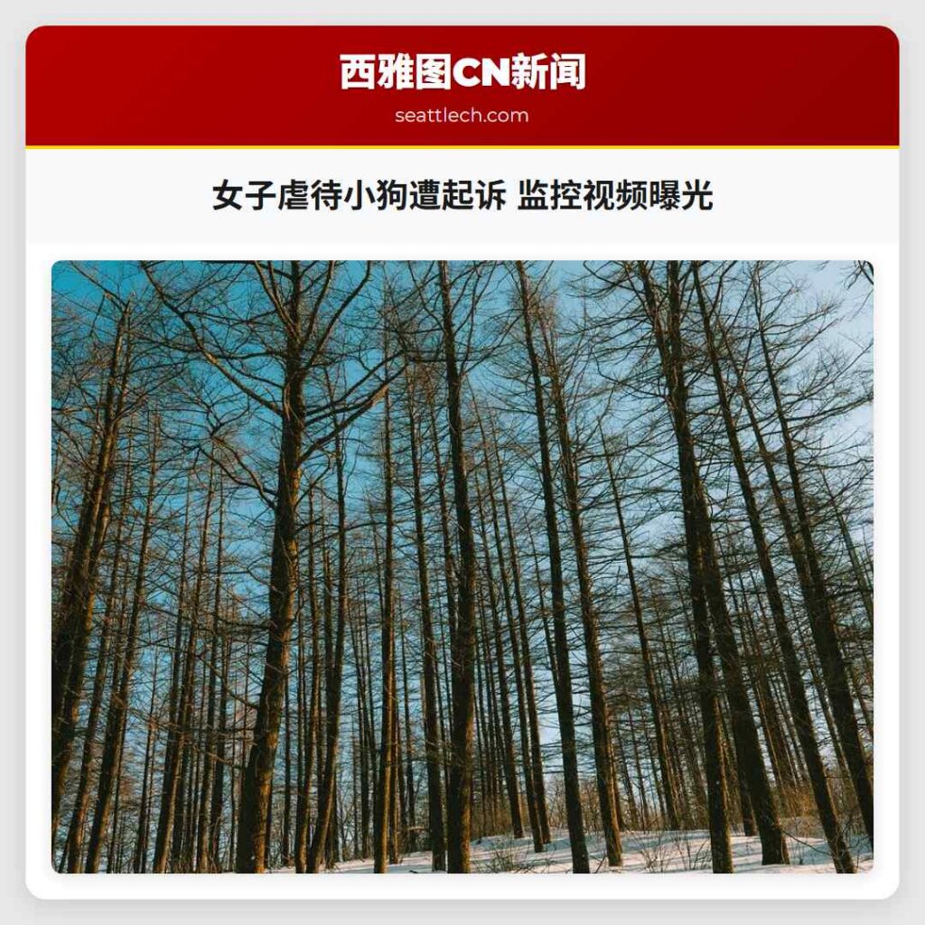 女子虐待小狗遭起诉 监控视频曝光