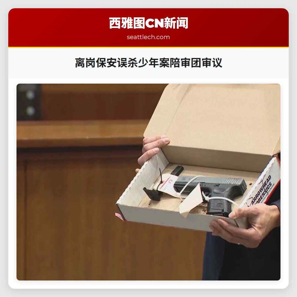 离岗保安误杀少年案陪审团审议