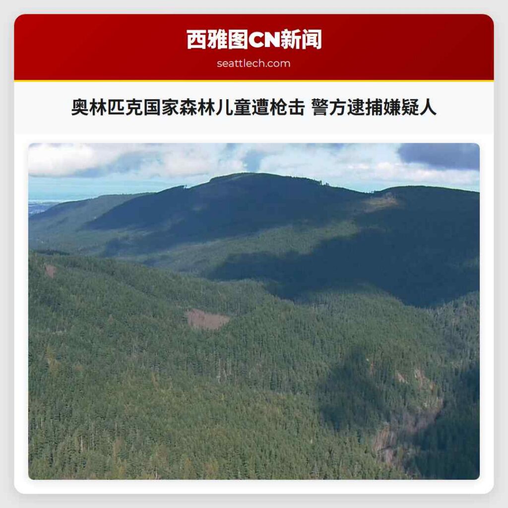奥林匹克国家森林儿童遭枪击 警方逮捕嫌疑人