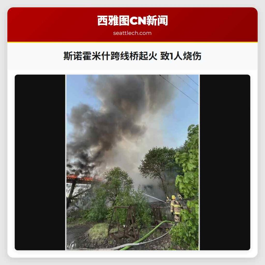 斯诺霍米什跨线桥起火 致1人烧伤