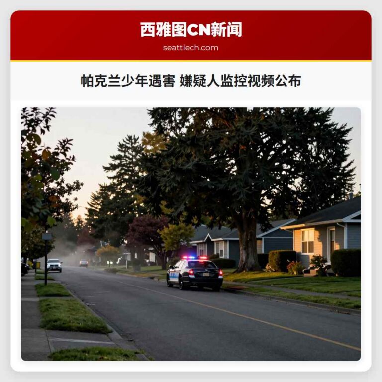 帕克兰少年遇害 嫌疑人监控视频公布