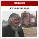 煤气厂公园拆除引争议 居民发声