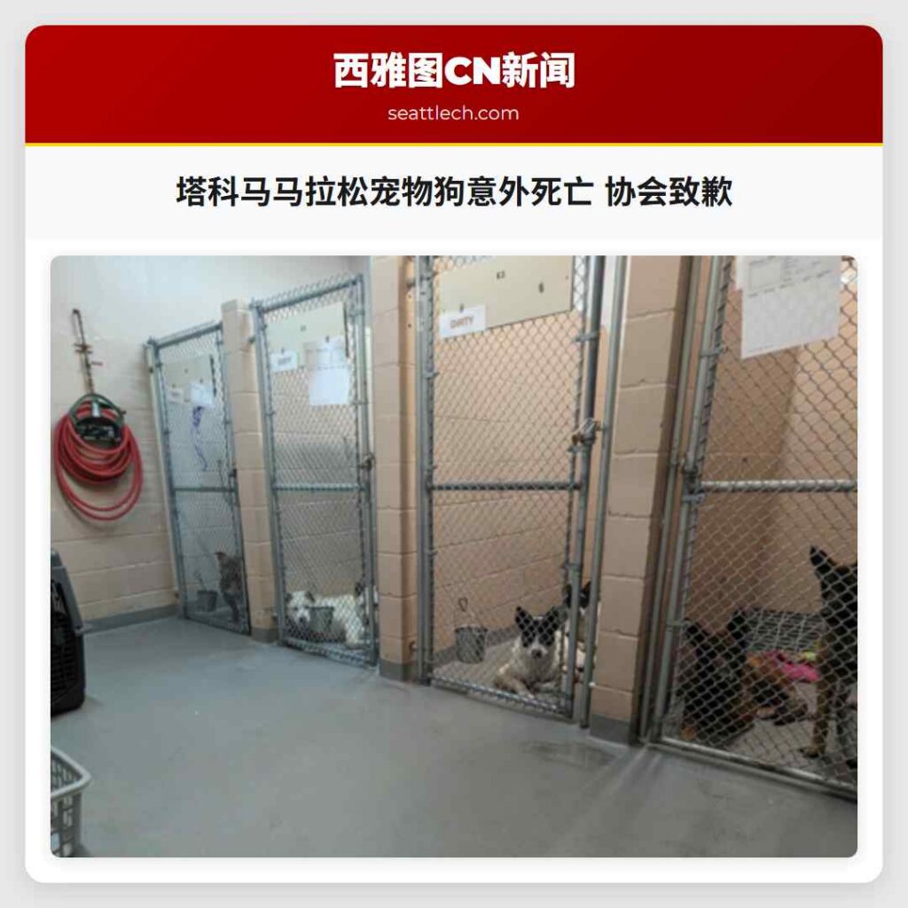 塔科马马拉松宠物狗意外死亡 协会致歉
